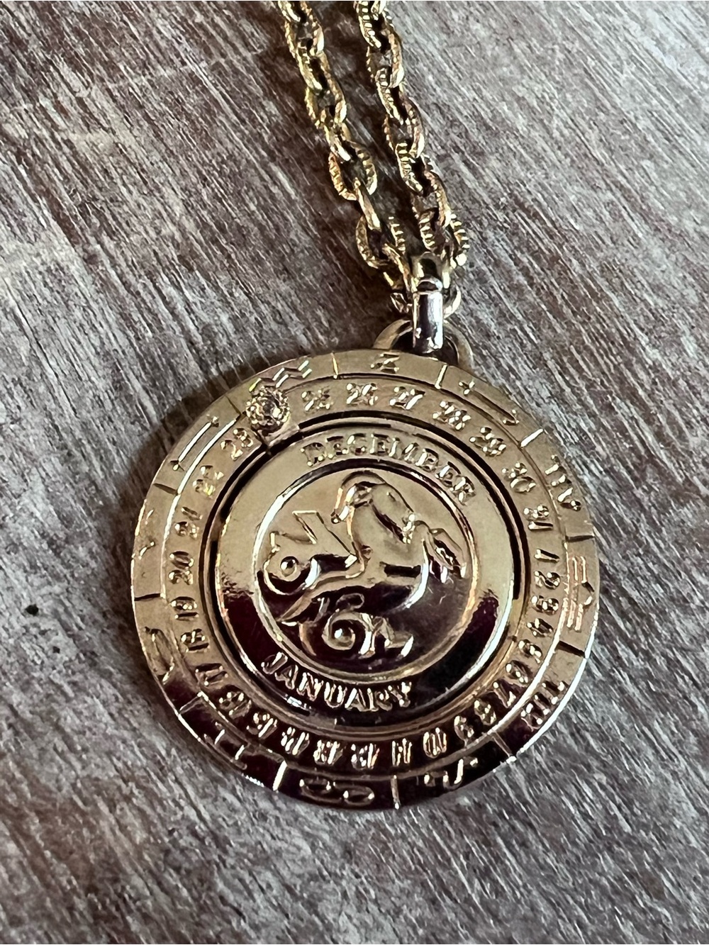 𝑹𝒂𝒓𝒆 Vintage Pierre Cardin Capricorn Zodiac 1970s Pendant Necklace